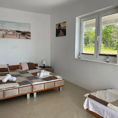 Upwind Kitesurfing Wingfoil Windsurfing Rowery Sauna 4*