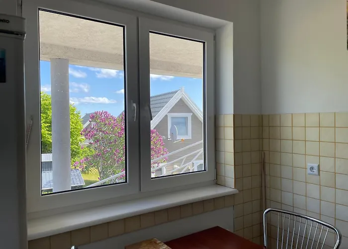 Upwind Kitesurfing Wingfoil Windsurfing Rowery Sauna